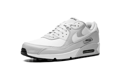 Air Max 90 "Gore-Tex" DJ9779 003