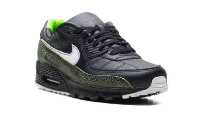 Air Max 90 "Tiempo 2005" IU0523 010