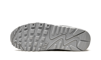 Air Max 90 "Wolf Grey" CN8490 001