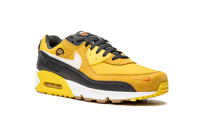 Air Max 90 "Go The Extra Smile" DO5848 700