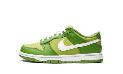 Dunk Low GS "Dark Chlorophyll" DH9765 301