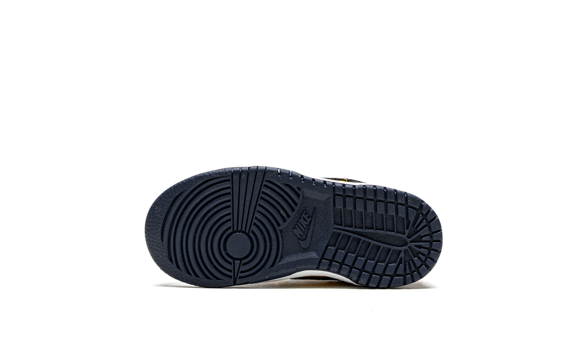 Dunk Low TD "Michigan" CW1589 700
