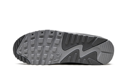 Air Max 90 "Snowflake" DQ0789 001