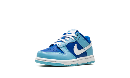 Dunk Low PS "Argon" DV2635 400