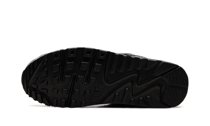 Air Max 90 "Iron Grey University Red" DR0145 003