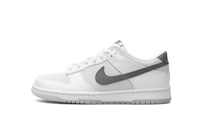 Dunk Low GS "Reflective Swoosh" FV0365 100