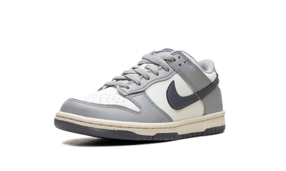 Dunk Low "Light Carbon" FB9109 101