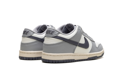 Dunk Low "Light Carbon" FB9109 101