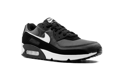 Air Max 90 "Iron Grey" CN8490 002