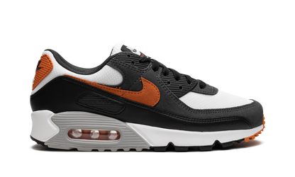 Air Max 90 "Starfish" DM0029 101