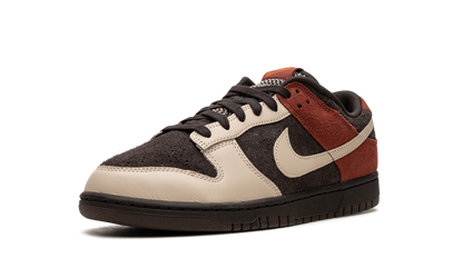 Dunk Low "Red Panda" FV0395 200