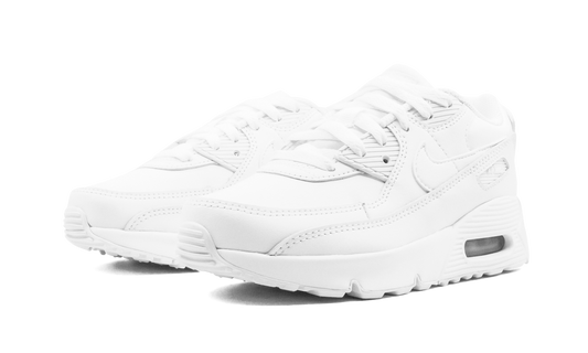 Air Max 90 CD6867 100