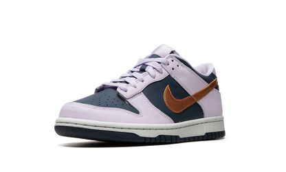 Dunk Low Se "Copper Swoosh" DX1663 400