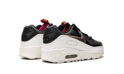 Air Max 90 LTR GS "Off Noir Metallic Pewter" DJ0414 001