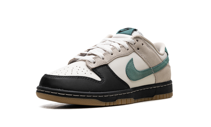Dunk Low "Brown Bicoastal" HQ3483 104