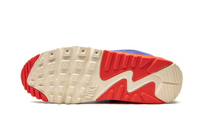 Air Max 90 DM8316 400