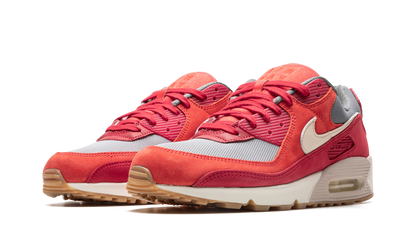 Air Max 90 PRM "Gym Red" DH4621 600