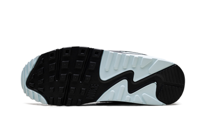 Air Max 90 "Pumice" DM0029 009