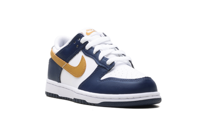 Dunk Low "Navy" FB9108 111