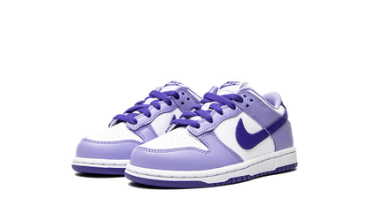 Dunk Low PS "Blueberry" DZ4457 100