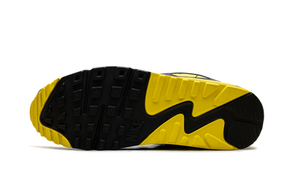 Air Max 90 "Smoke Grey Lightning" DM0029 016