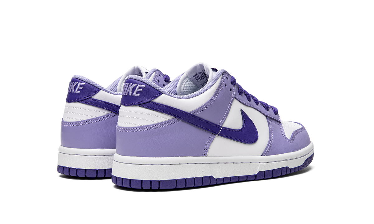 Dunk Low GS "Blueberry" DZ4456 100