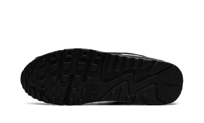Air Max 90 "Panda" CN8490 101