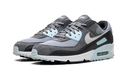 Air Max 90 "Pumice" DM0029 009