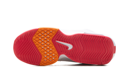 LEBRON WITNESS 8 "DUNKIN DONUTS" FB2239 104