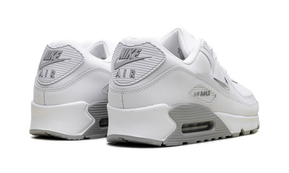 Air Max 90 "Jewel Light Smoke Grey" FN8005 100