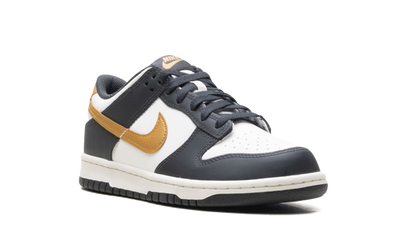 Dunk Low GS "Summit White Metallic Gold" HV2533 100