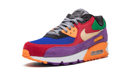 Air Max 90 "Viotech" CD0917 600